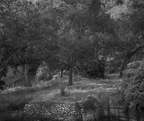 Carbon Canyon N396-2-SharpenAI-sharpen